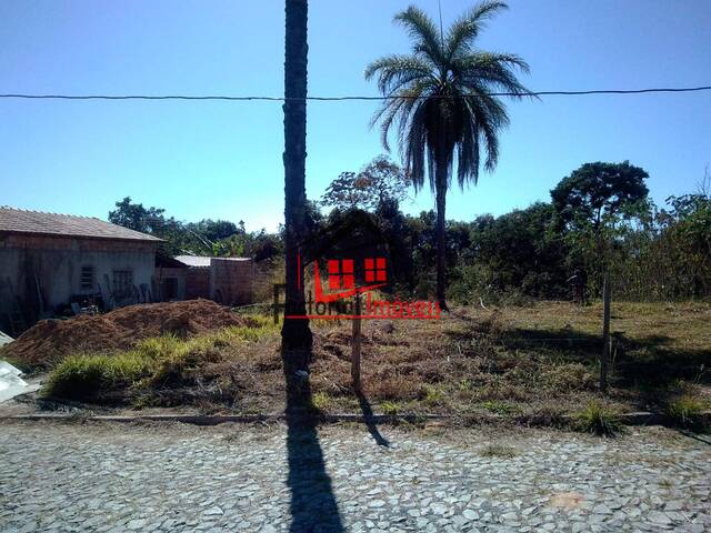 Área para Venda em Ribeirão das Neves - 4