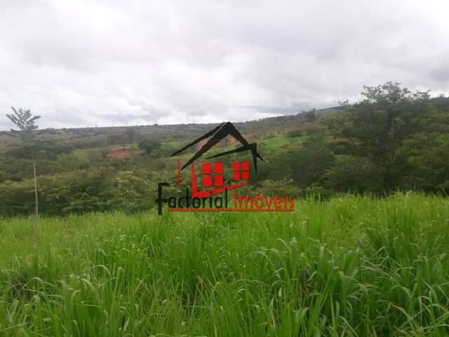 Fazenda para Venda em Augusto de Lima - 4